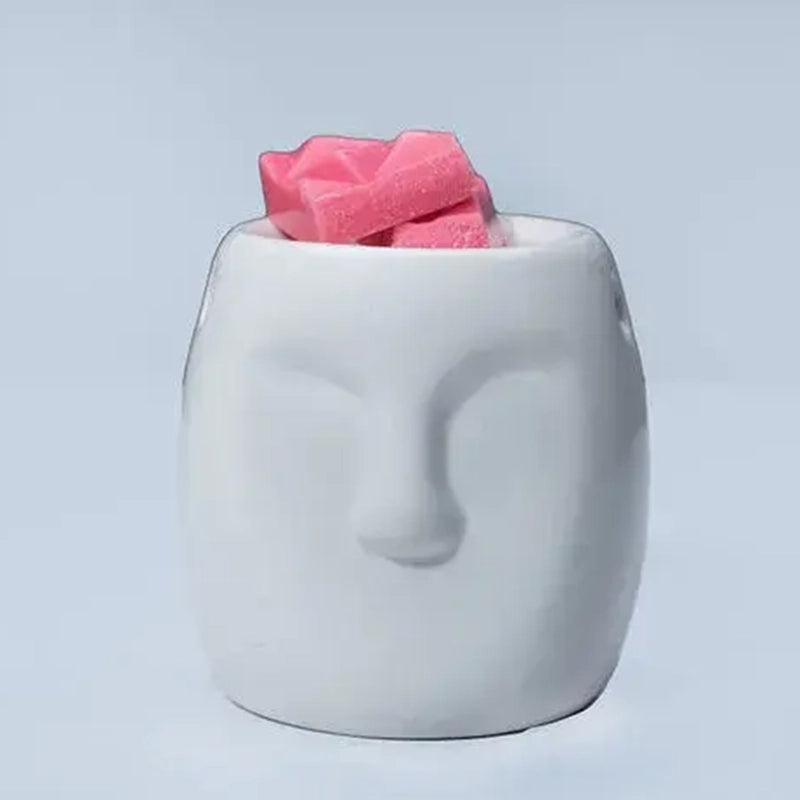 Fragrance warmer online